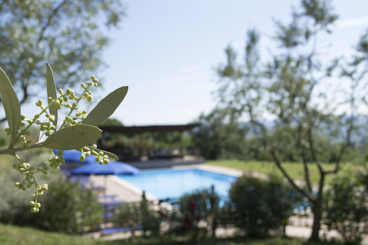 Agriturismo Cornieto Monteleone dʼOrvieto Exterior foto